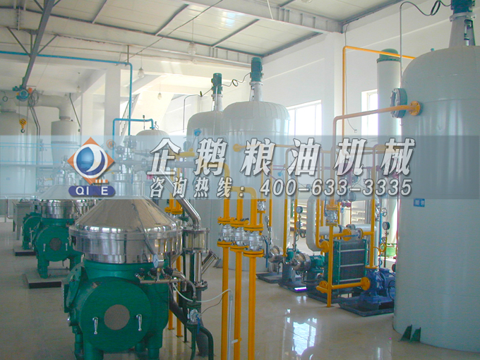 如何投資建設(shè)棕櫚油加工廠？企鵝糧油機(jī)械在線為您答疑解惑(圖2)